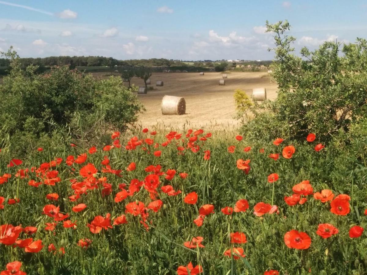 Villa 2 Fields Castellaneta Luaran gambar